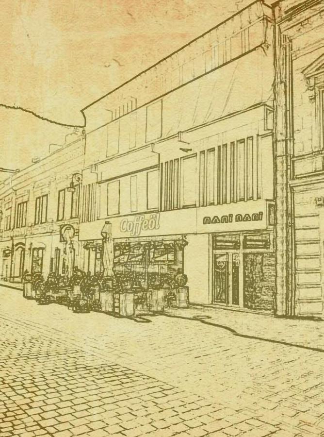 Nani Nani Boutique Hotel Брашов Екстериор снимка